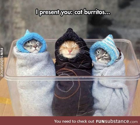 The beautiful purritos