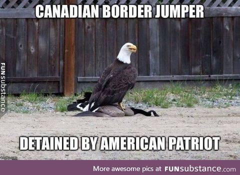 Freedom prevails