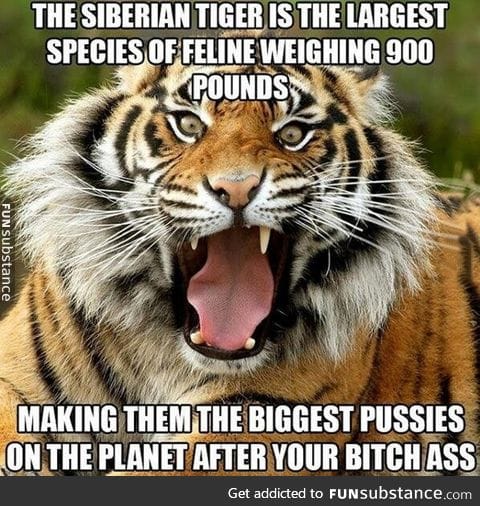 For all of you out there