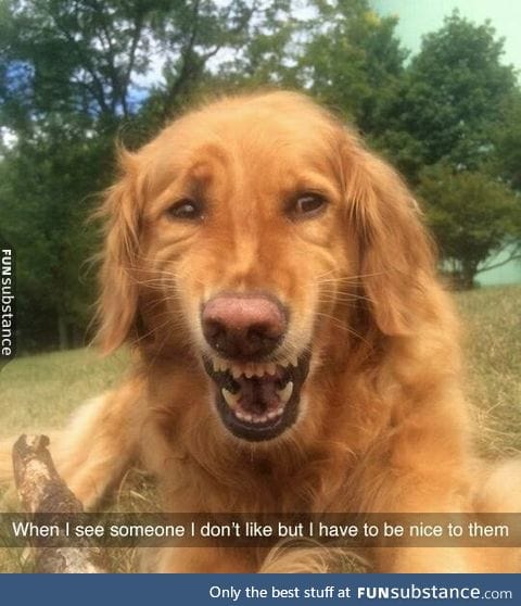 Mum said to be polite.
