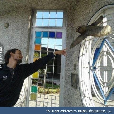 The best recreation of Michaelangelo's 'The Creation of Adam' involving a sloth