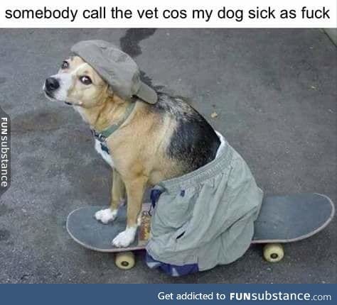 Milo pull that sick olley once again yoo