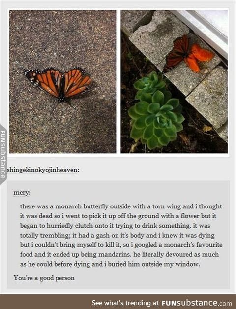 Awww ;_;
