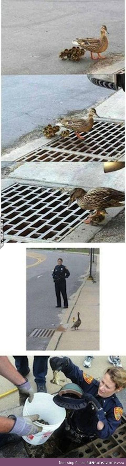 I love it when I see people helping animals, it's so sweet and nice.