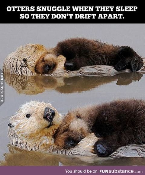 That is adorable