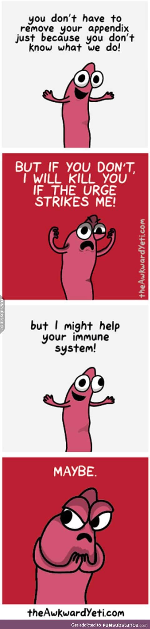 The lovely appendix