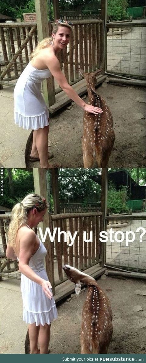 How deer you be so cruel?!
