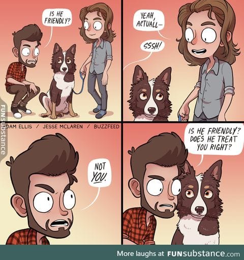 How I interact with dogs