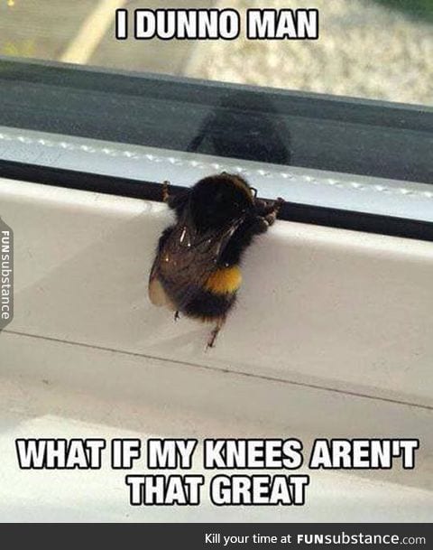The Bee's Knees