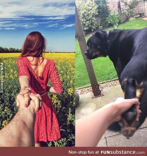 Nailed it