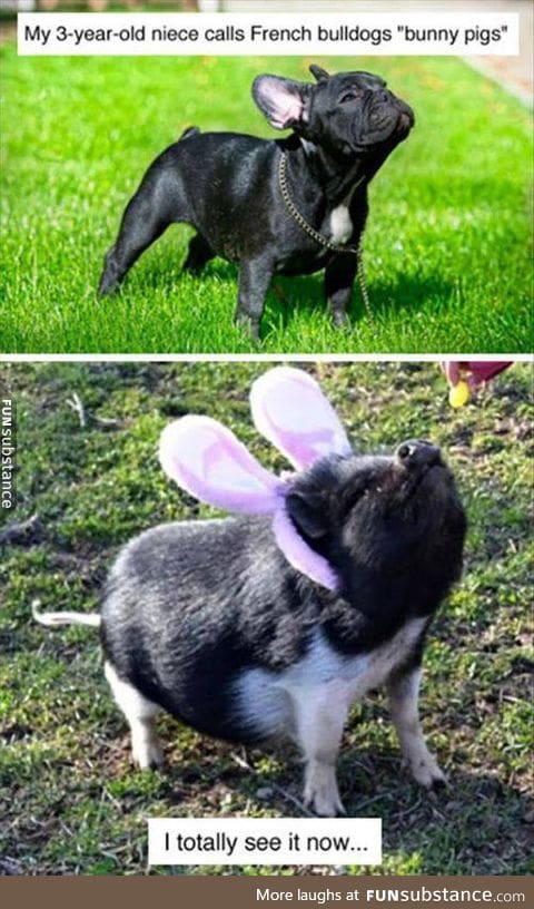 They're Bunny Pigs