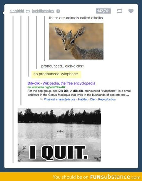 Go home pronunciation, you're drunk