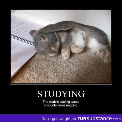 Studying causes spontaneous napping