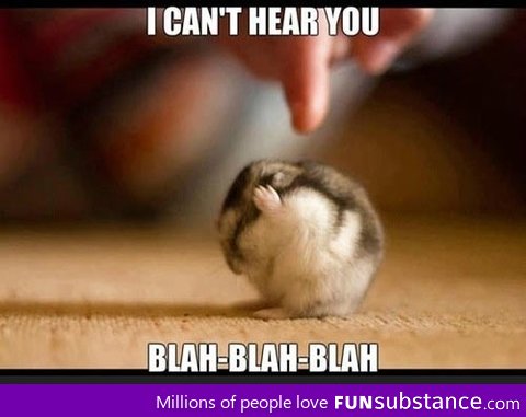 I'm not hearing you