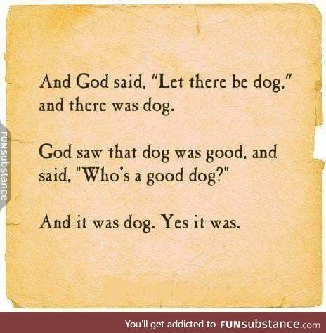 Let there be dog!