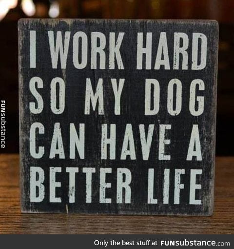 Why I work hard
