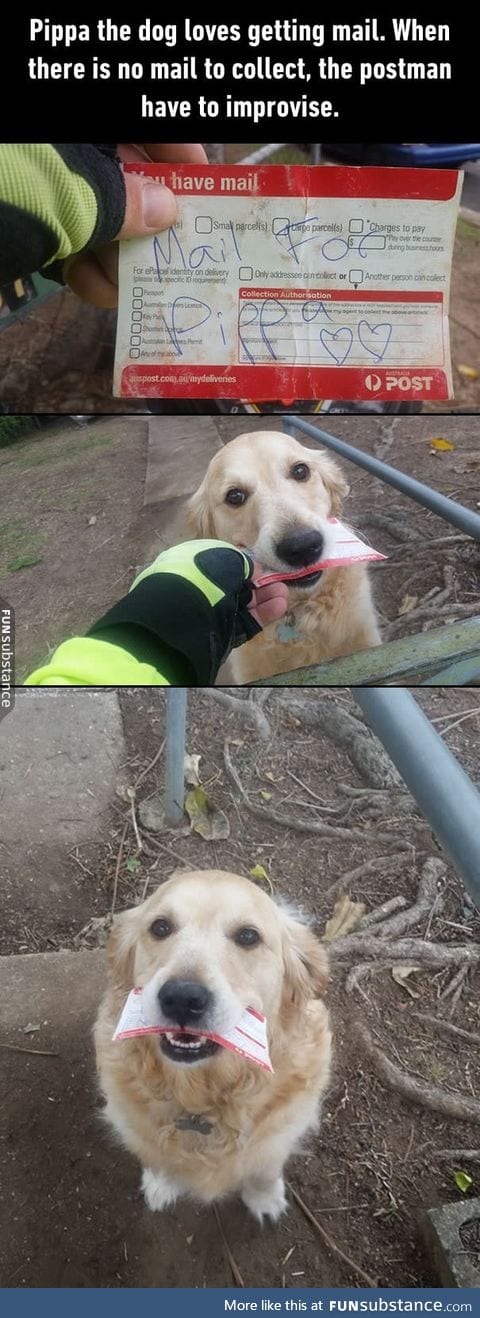 A postman from Brisbane wrote letters to the pup