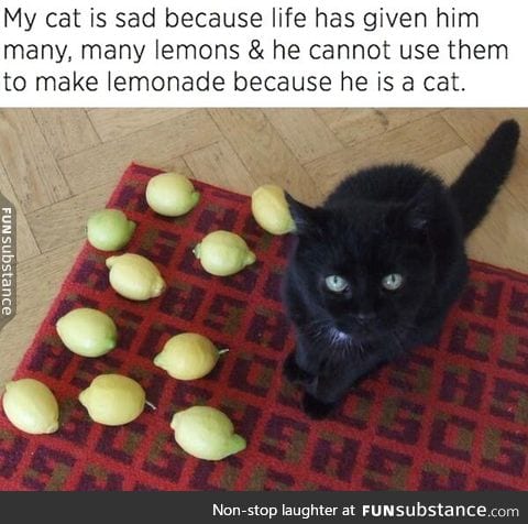 When life gives you lemons