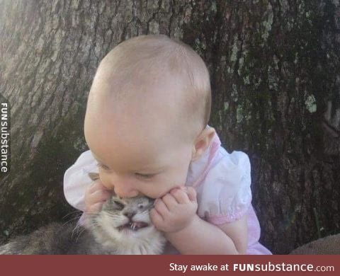 Tiny hooman munching on some cate