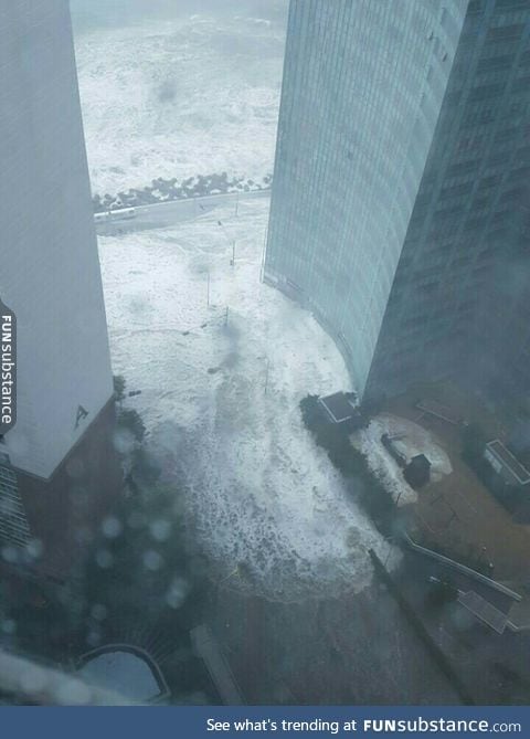 In South Korea now. It's been raining non stop and now water from the sea is going on land