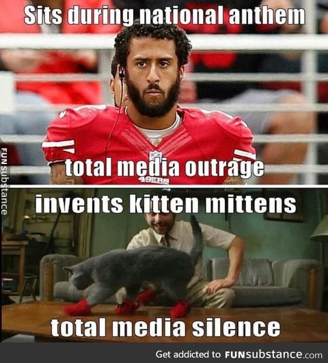 Stupid media