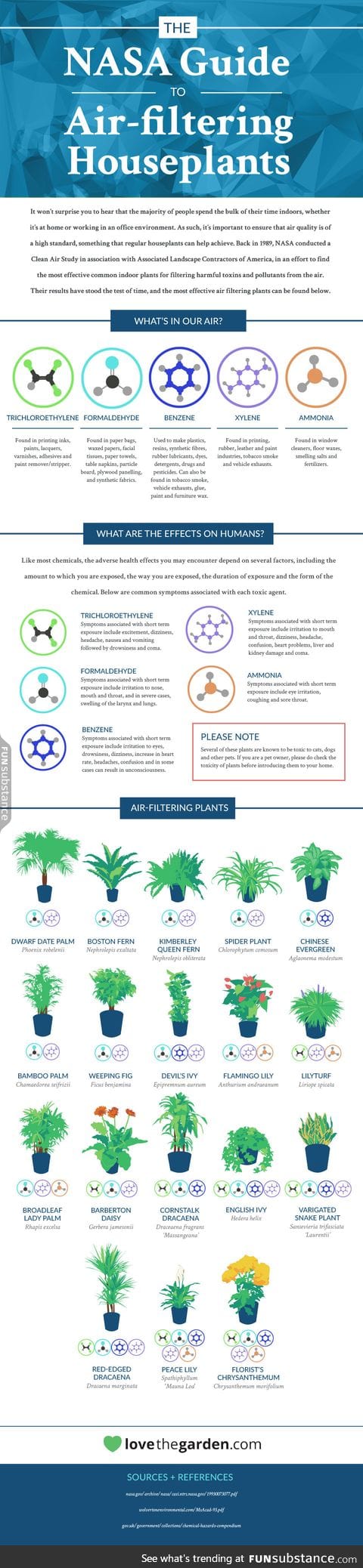 NASA’s guide to the best air-filtering plants to have in your home