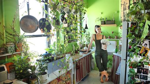Woman has over 500 plants in New York City appartment
