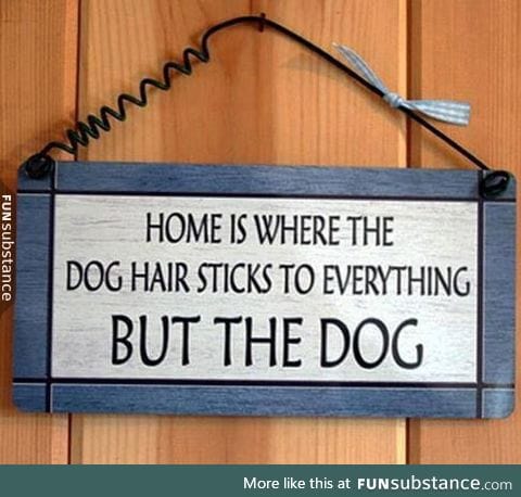 Dog owners will know