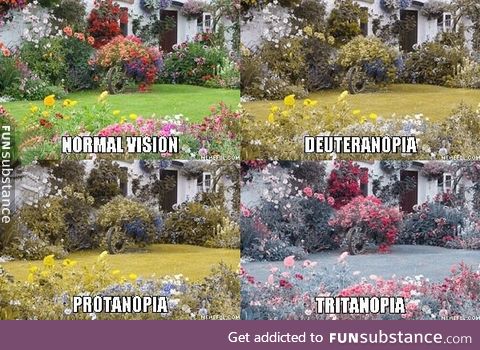 Some of the types of colorblind (sorry for those who are colorblind and can't see)
