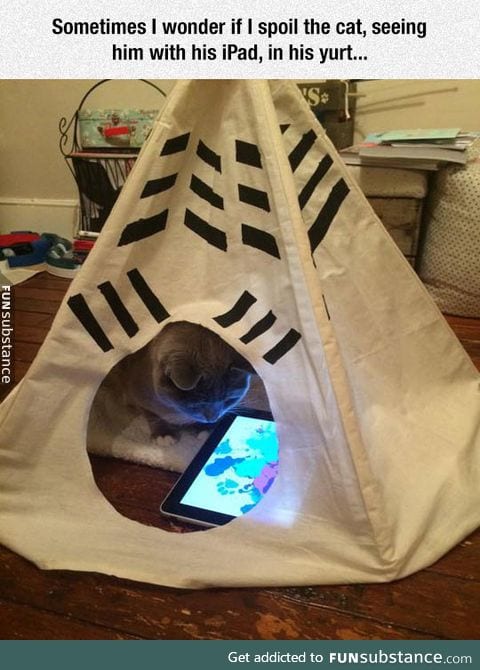 Spoiled cat