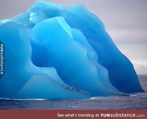 Penguins on a flipped iceberg