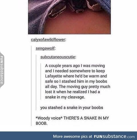 snakes are so cute