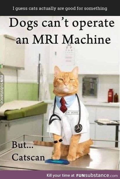 Cat doctors