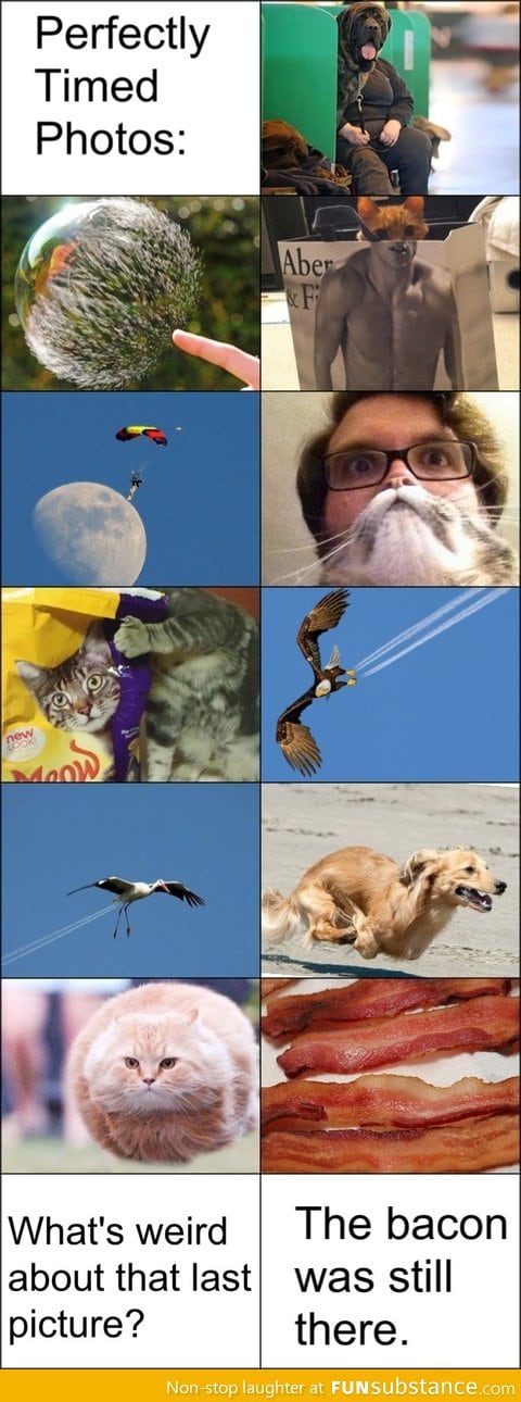 Perfectly timed photos
