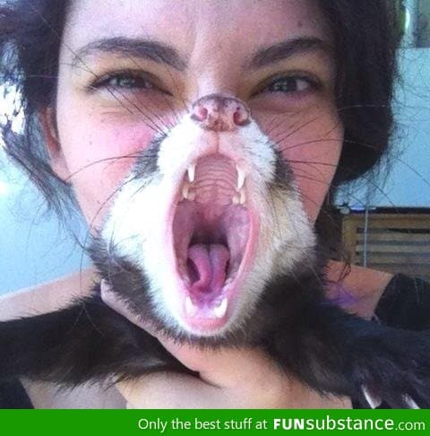 Possibly best photobomb ever