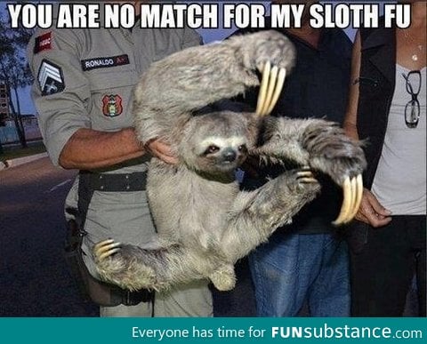 Sloth Fu fighter