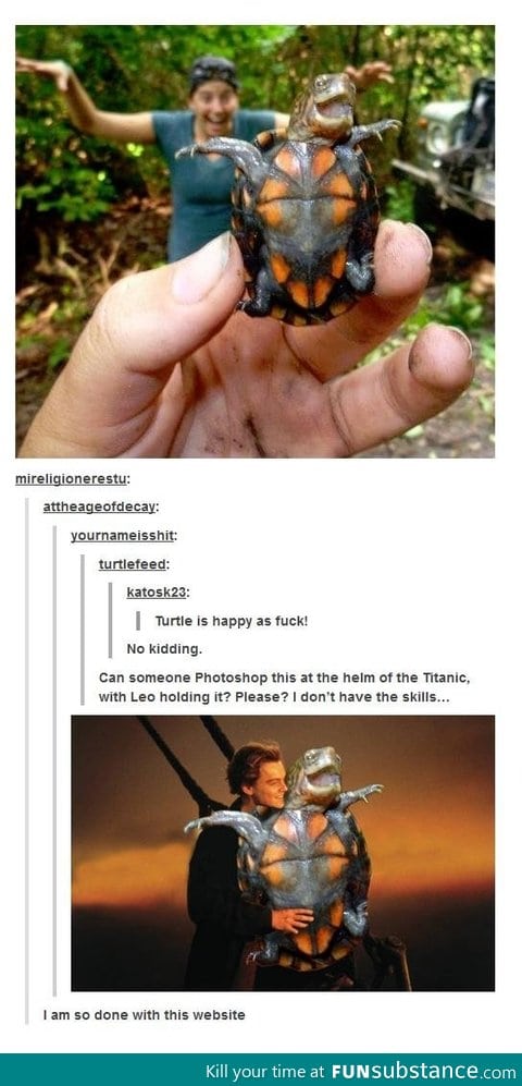 Happy turtle
