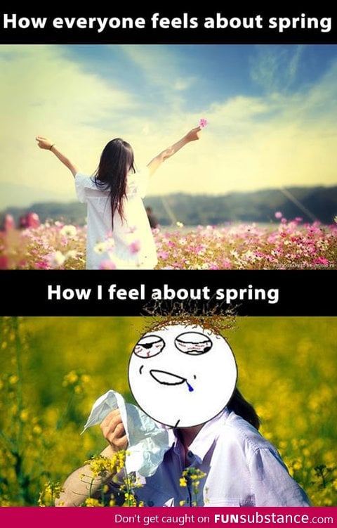 Feelings about spring