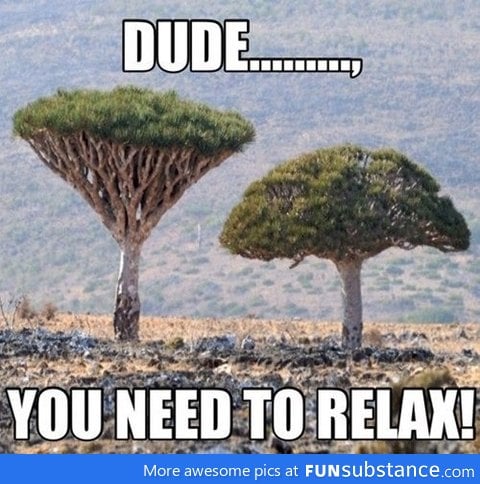 Chill dude