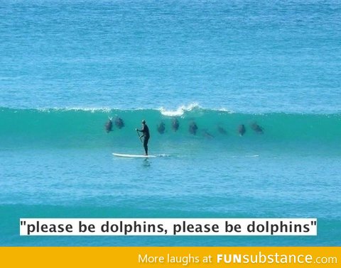 Please be dolphins