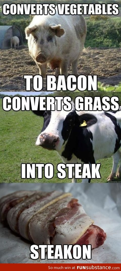 Why not both?