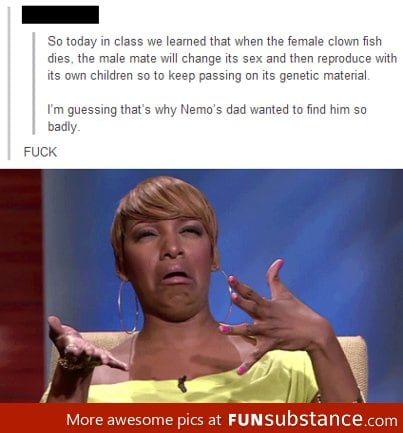 what the hell man