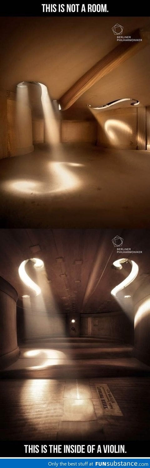 Violin interiors