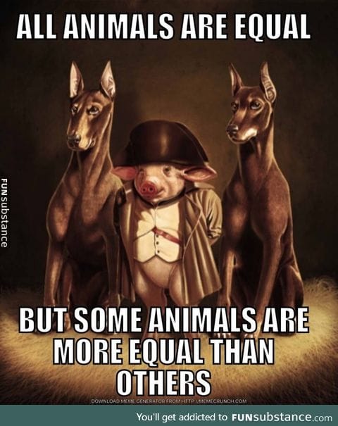 Equality is it just a dream?