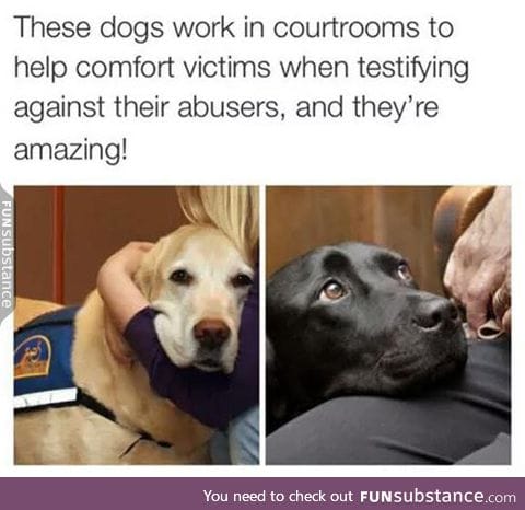 Do you swear to be a good boy and nothing but a good boy?