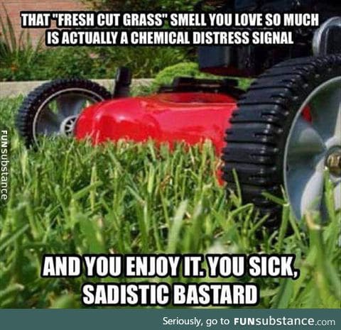 Fresh cut grass smell