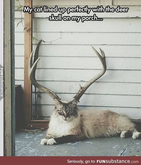 It's Probably A New Rare Species
