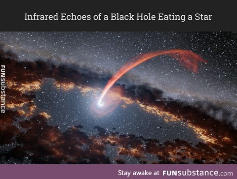 Black Hole Eating a Star