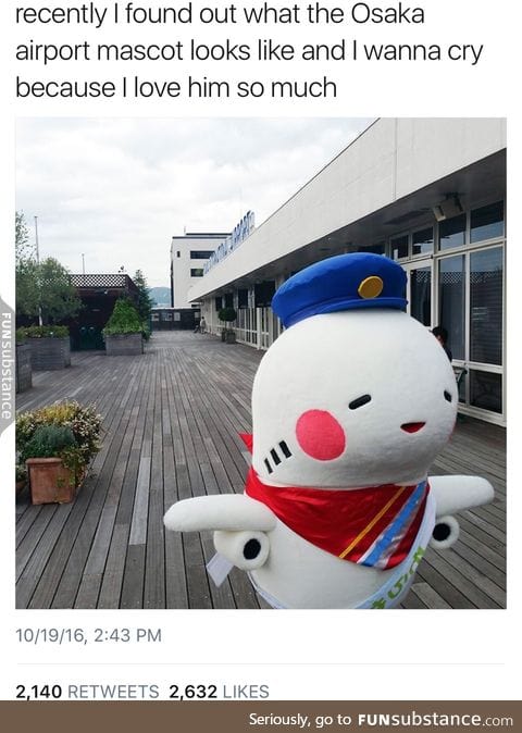 it's sO CUTE