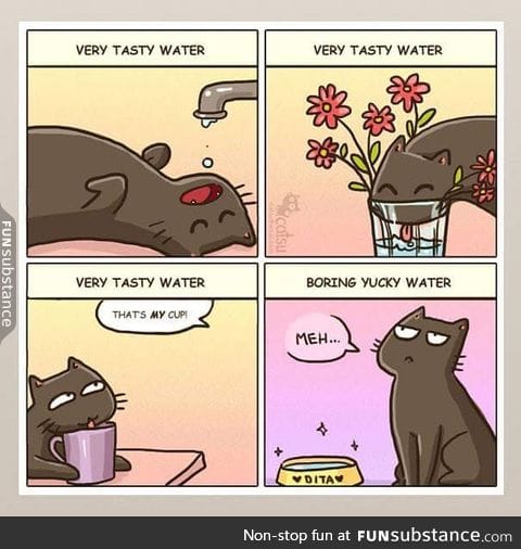 Cats be like